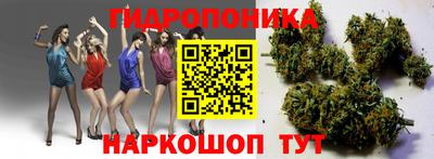 таблы Владимир
