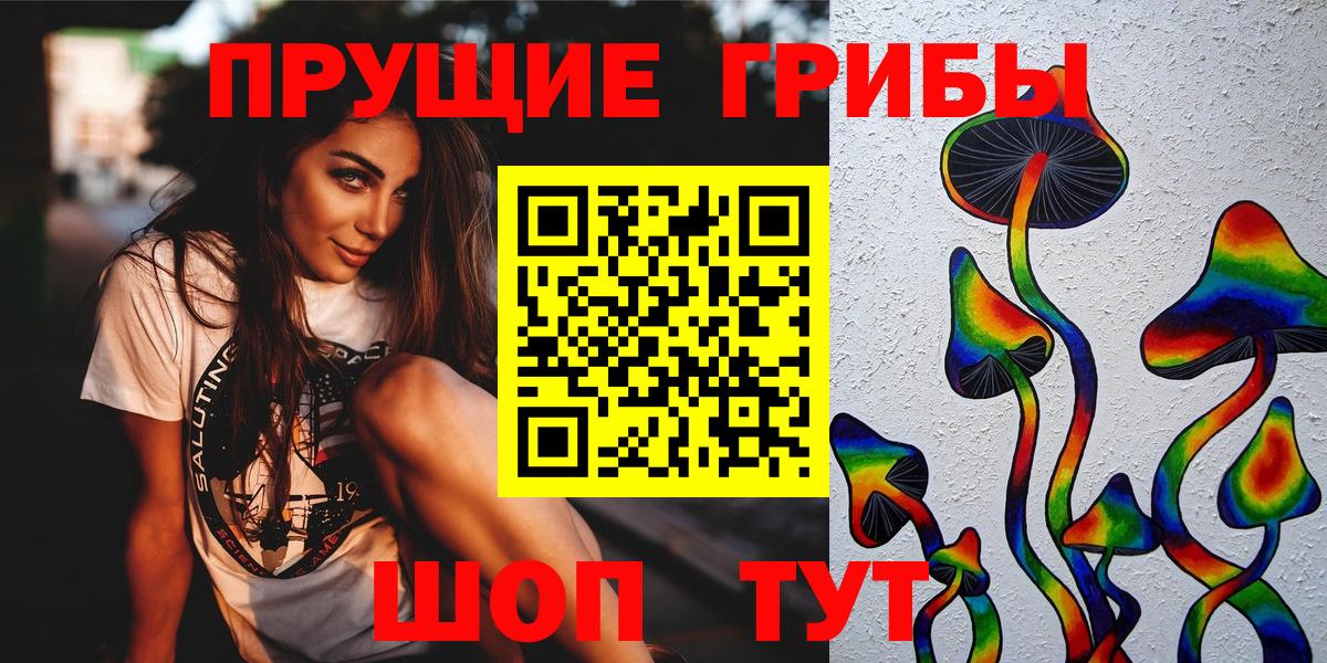 Псилоцибиновые грибы Cubensis  Вход с VPN  Архангельск 